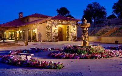 Wine tasting naggiar